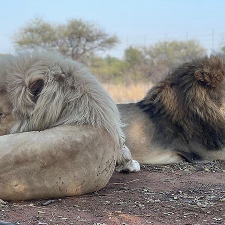 Simba Safaris African Pride Exotic Lodge Lephalale 외부 사진