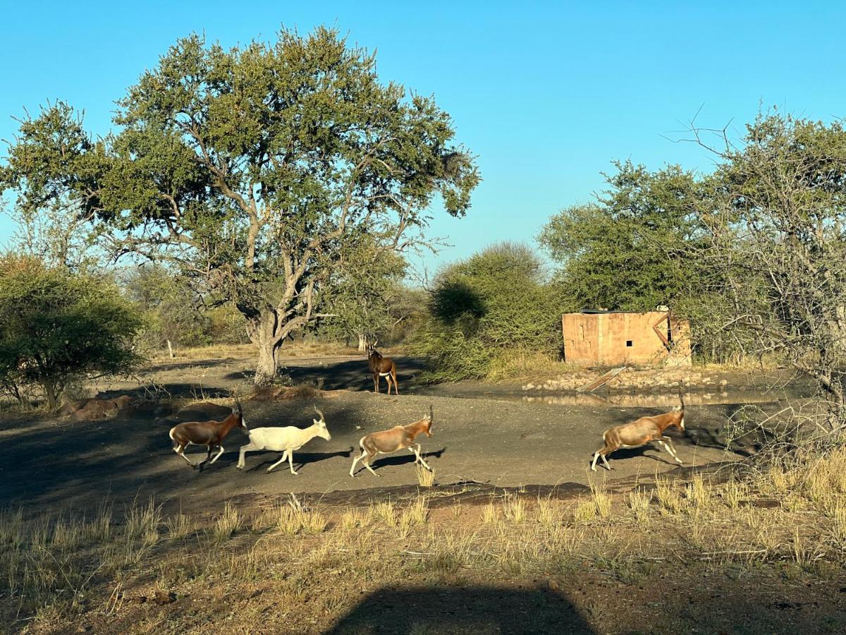 Simba Safaris African Pride Exotic Lodge Lephalale 외부 사진