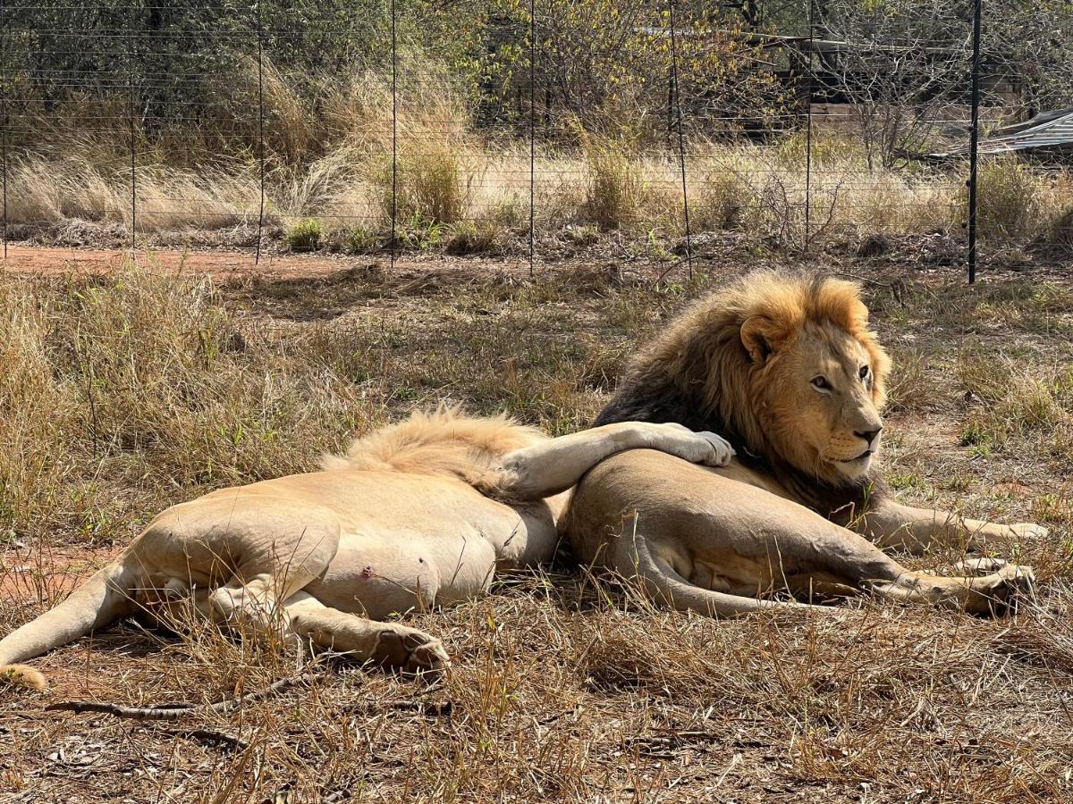Simba Safaris African Pride Exotic Lodge Lephalale 외부 사진