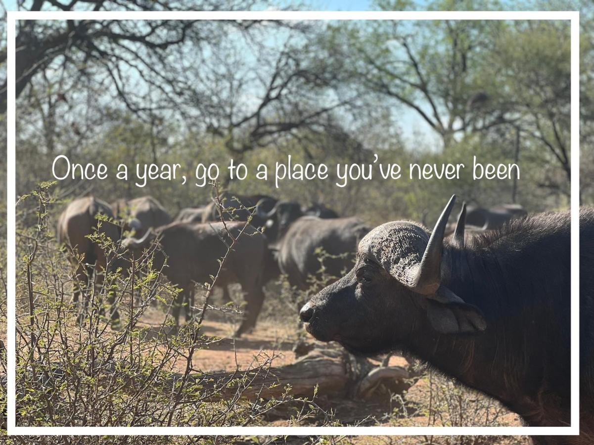 Simba Safaris African Pride Exotic Lodge Lephalale 외부 사진
