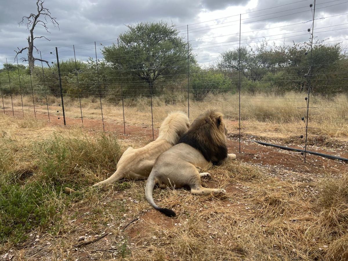 Simba Safaris African Pride Exotic Lodge Lephalale 외부 사진