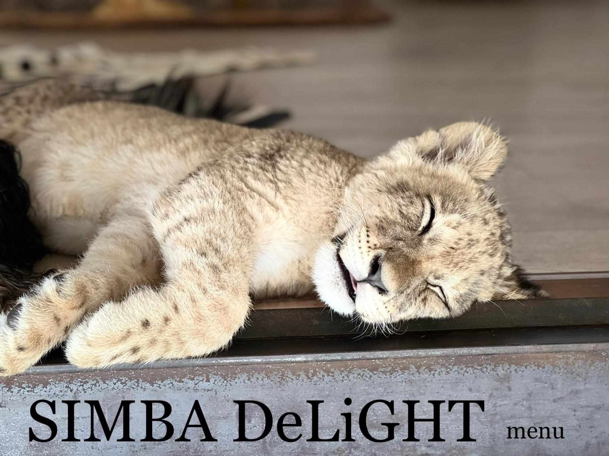 Simba Safaris African Pride Exotic Lodge Lephalale 외부 사진