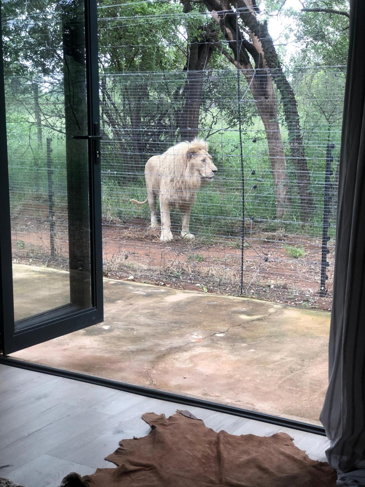 Simba Safaris African Pride Exotic Lodge Lephalale 외부 사진