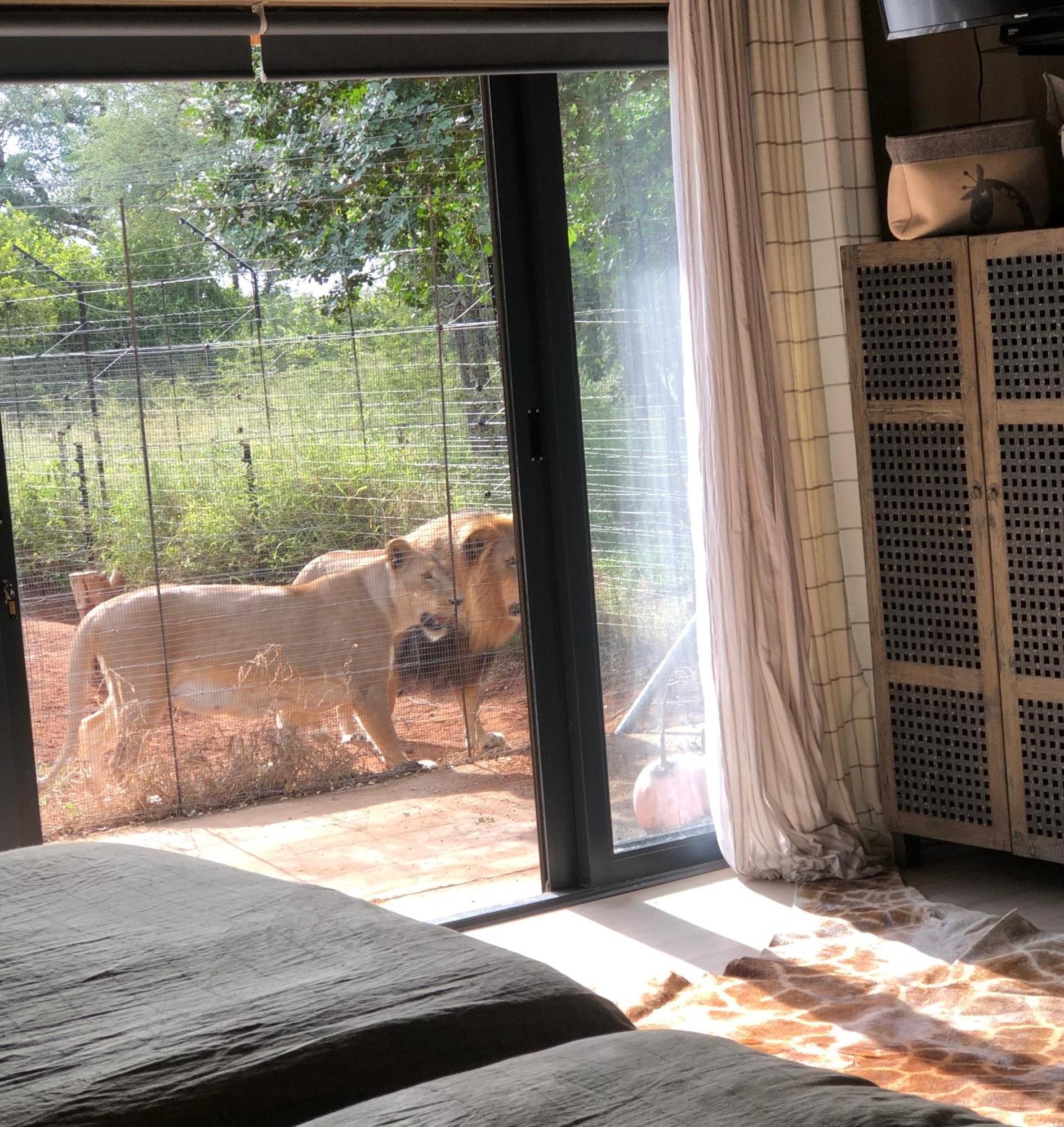 Simba Safaris African Pride Exotic Lodge Lephalale 외부 사진