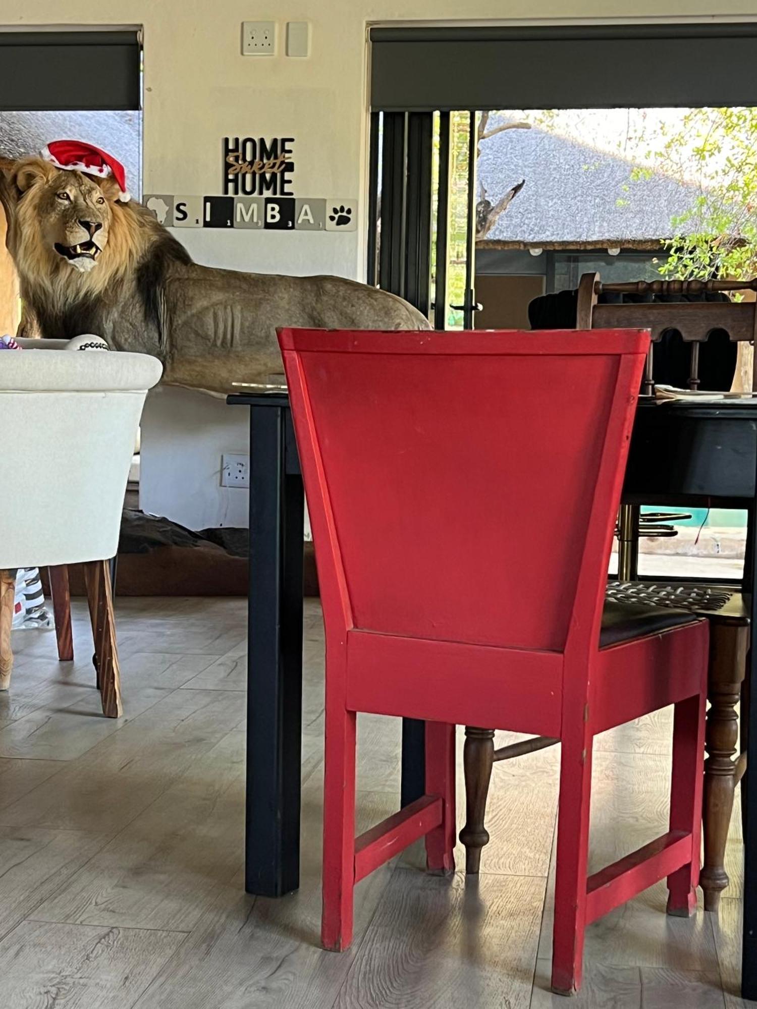Simba Safaris African Pride Exotic Lodge Lephalale 외부 사진