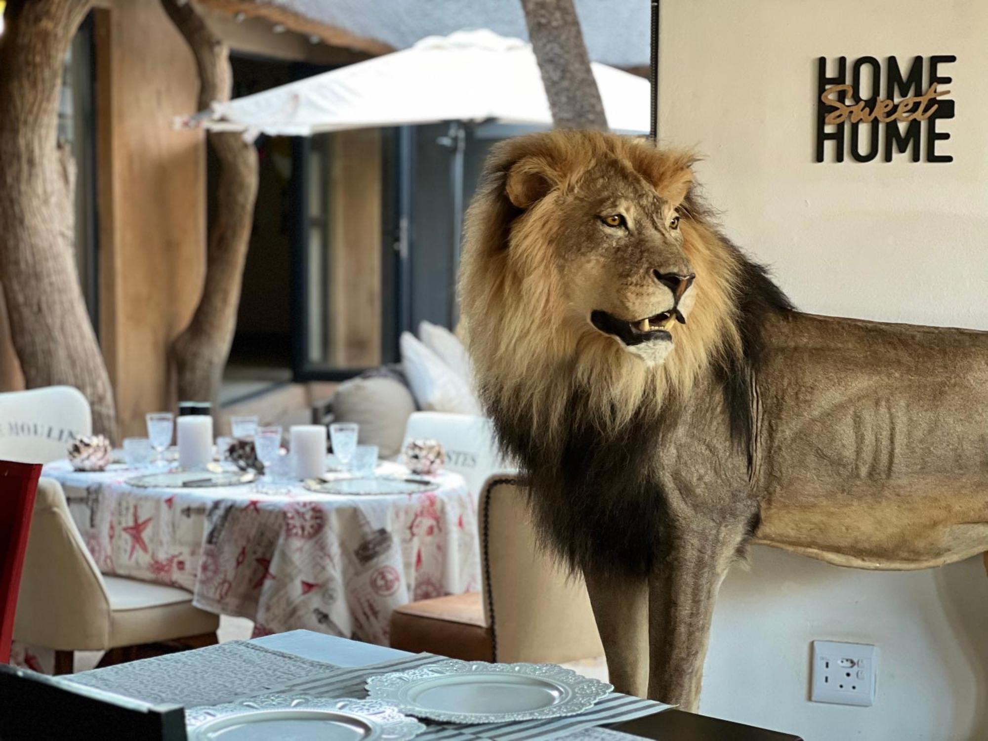 Simba Safaris African Pride Exotic Lodge Lephalale 외부 사진