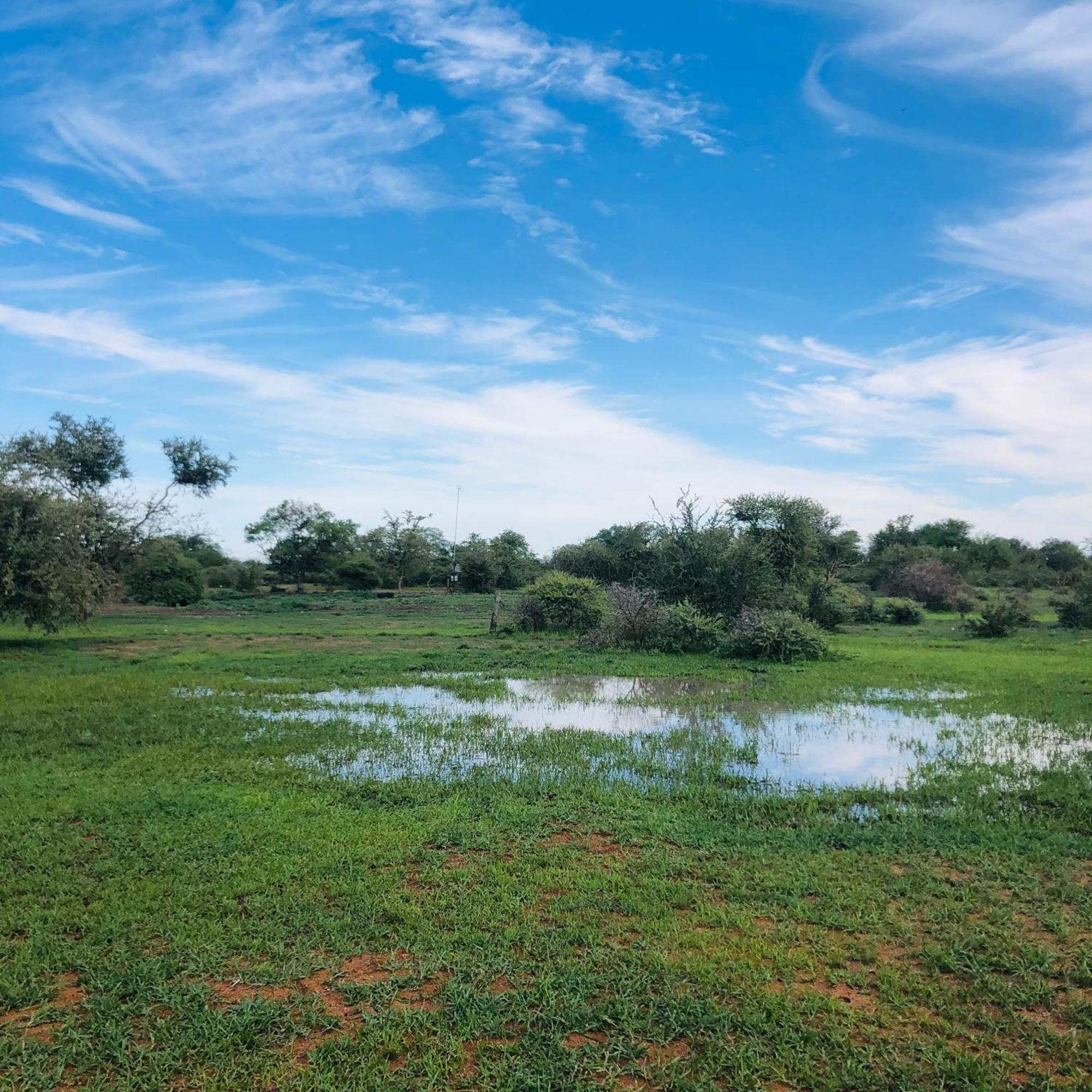 Simba Safaris African Pride Exotic Lodge Lephalale 외부 사진