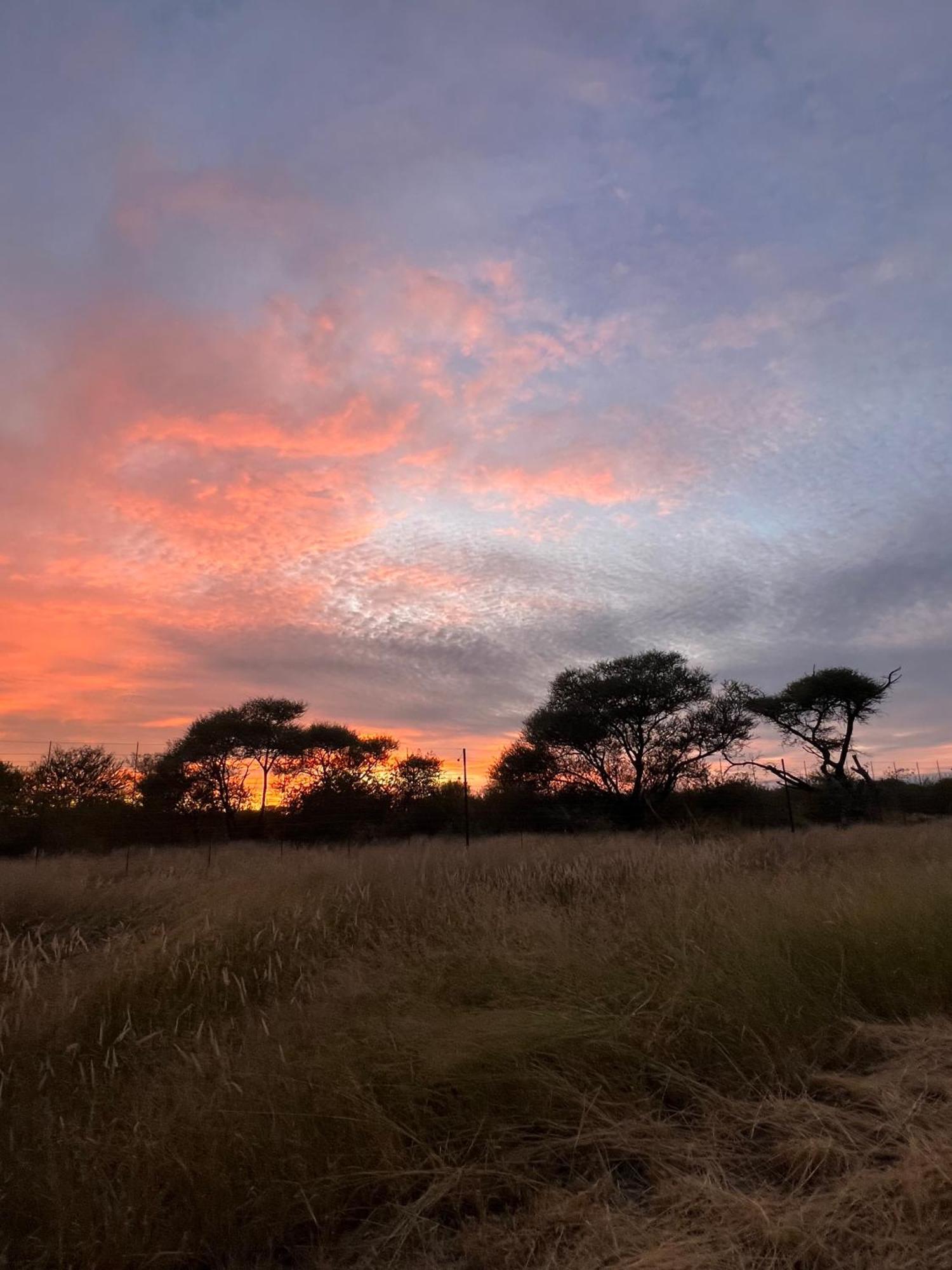 Simba Safaris African Pride Exotic Lodge Lephalale 외부 사진
